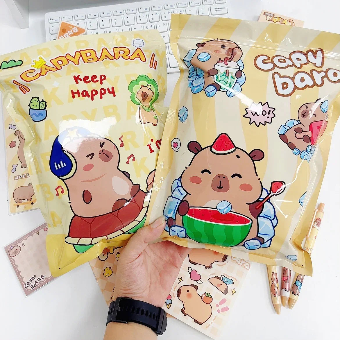 CAPYBARA STATIONARY BLIND BAG | SCHOOL SUPPLIES  [8-10 ITEMS]